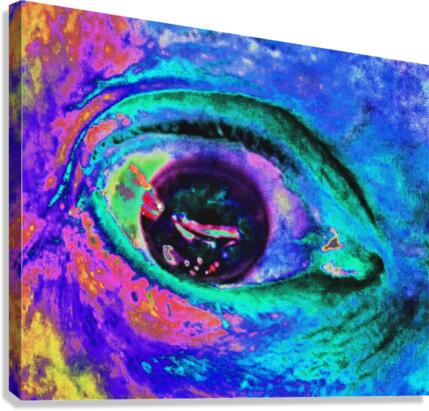 Abstract Eye Canvas Print