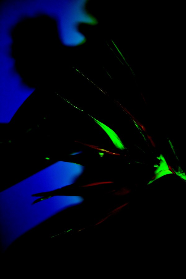 Night Shadow Print