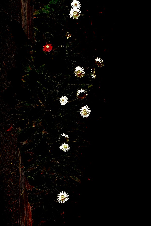 The Red One Print