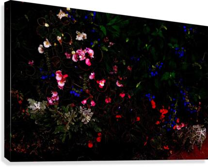 Gem Canvas Print