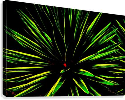 Atchoo Canvas Print