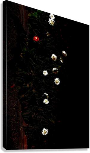 The Red One Canvas Print