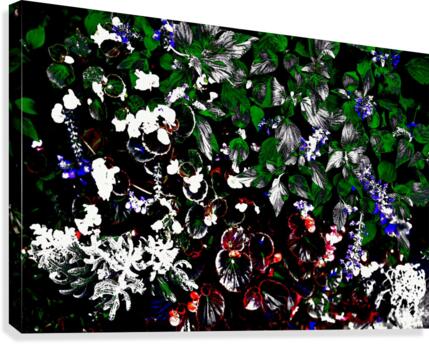 Contrast Canvas Print