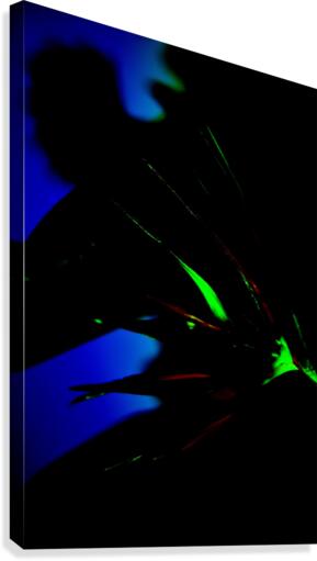 Night Shadow Canvas Print