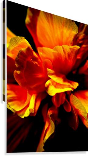 Silk Canvas Print