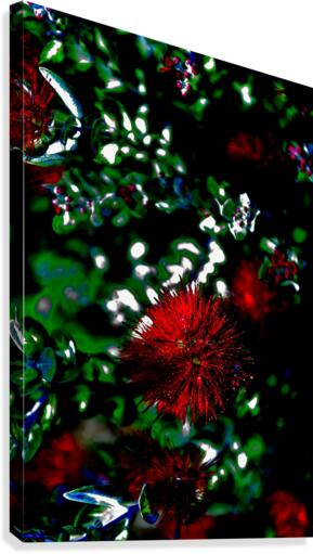 Red Canvas Print