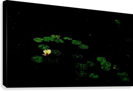 Floating Canvas Print