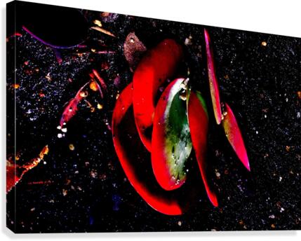 Blade Canvas Print