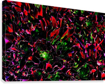 Playful Canvas Print
