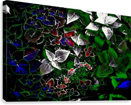 Silver Canvas Print