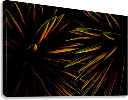 Together Canvas Print