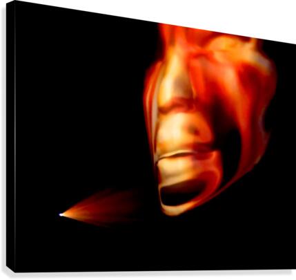 The Face Canvas Print