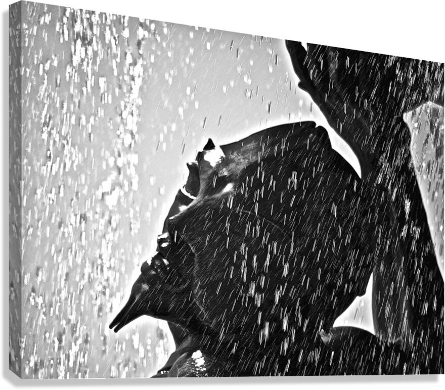 Cleanse Canvas Print
