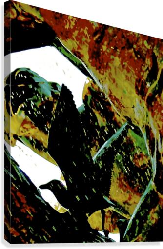 Go Canvas Print