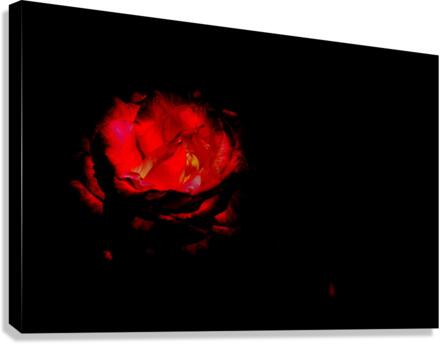 Glow Canvas Print