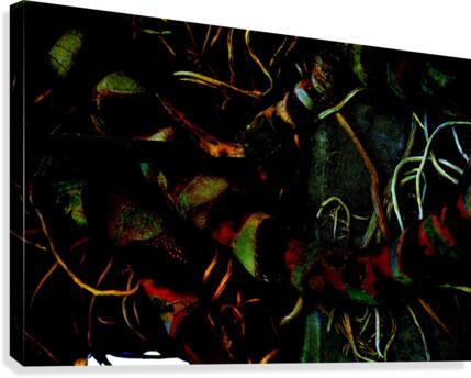 Vineyard  Canvas Print