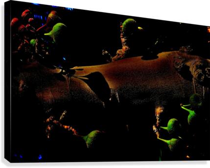 Unique  Canvas Print