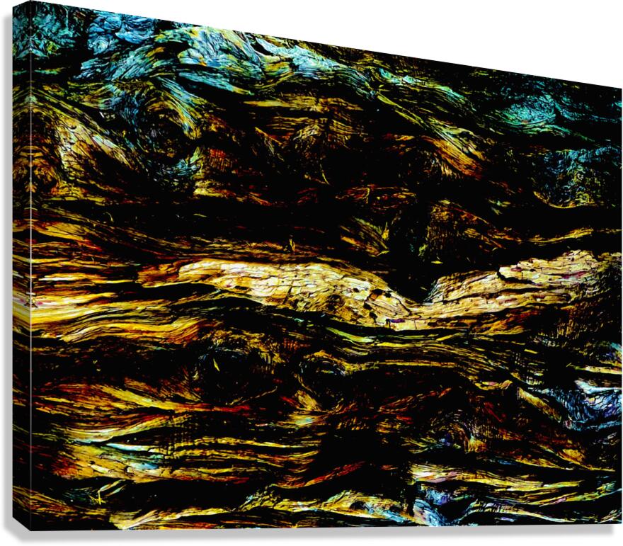 Van Canvas Print