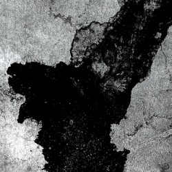 Fracture