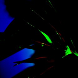 Night Shadow