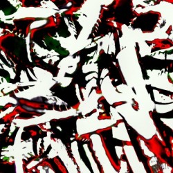 Razor