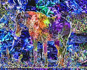 horse 5 abstract dig