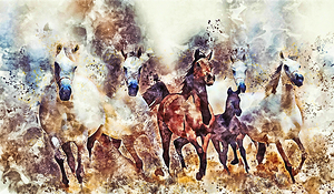 horses 2 enhanced