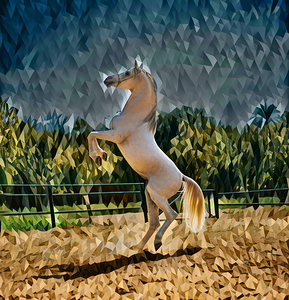 white horse background polyart 4