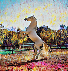 white horse oilpaint 2