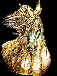 horse portrait