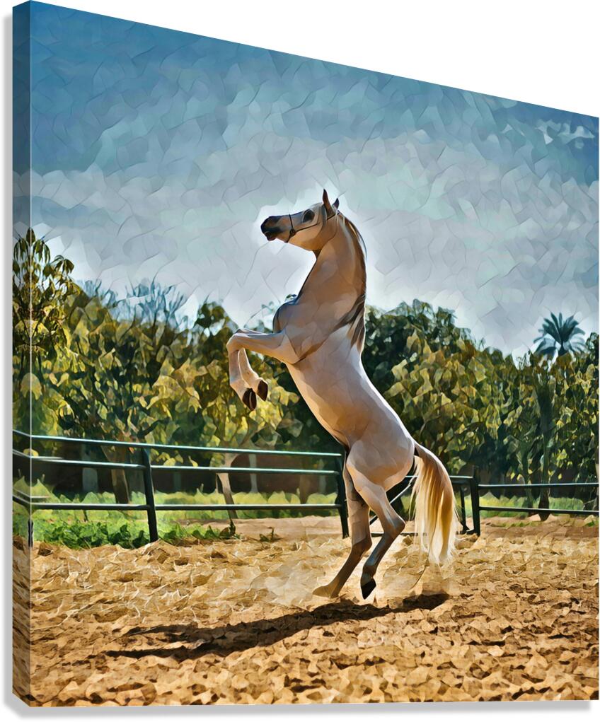 white horse oilpaint 3 Canvas Print