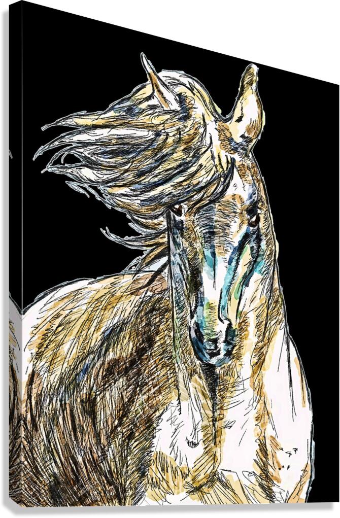 horse portrait 1 Canvas Print