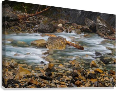 River Flow Canvas Print