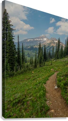 Chilcotin Trail Canvas Print