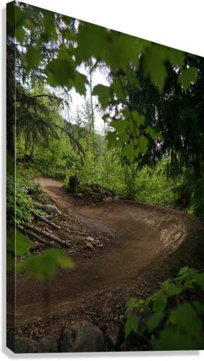 Lefty Berms Canvas Print