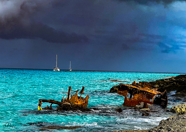 Bimini Storm Print