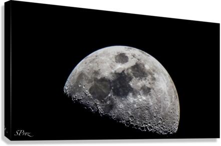 Moonrise Canvas Print