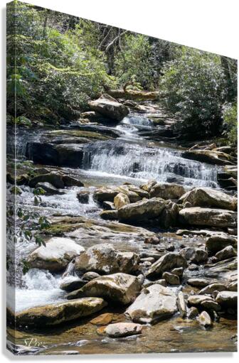 Waterfall Canvas Print