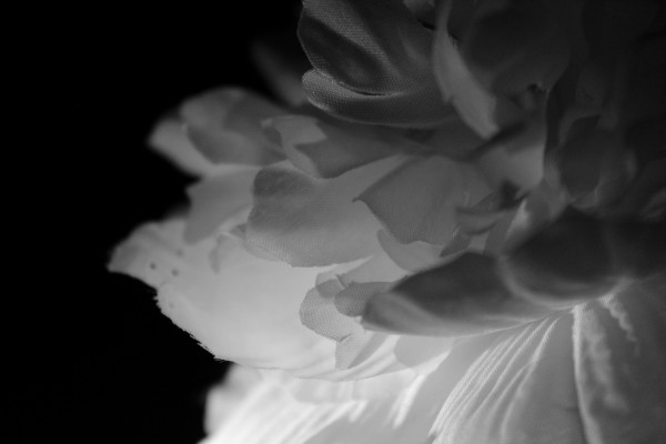Shadow Print
