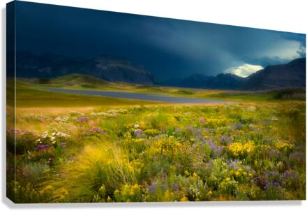 The Apocalypse Canvas Print