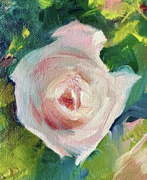 Harmony Print