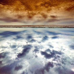 Point of View