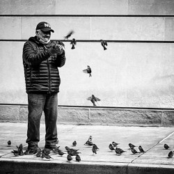 Old Man’s Tweets