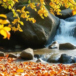 The Peace of Wavering Waters