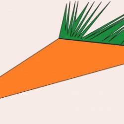 Carrot