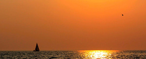 Distant Horizon