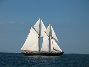 SV Virginia