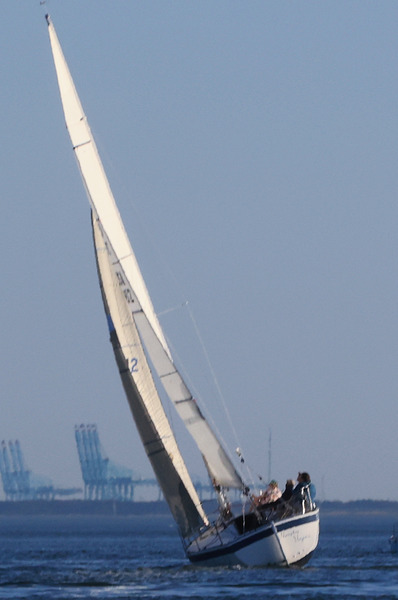 Sailing Print