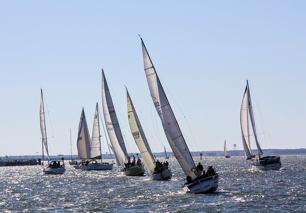 Sailing Print
