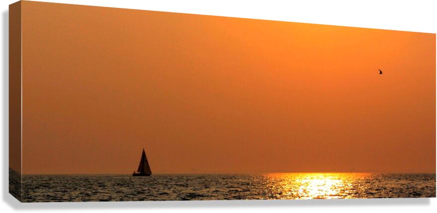 Distant Horizon Canvas Print